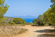 a hiking trail with pine trees along the costa brava near L'Estartit with a view to the sea in sunny weather