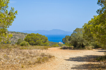 Wall Mural - a hiking trail with pine trees along the costa brava near L'Estartit with a view to the sea in sunny weather