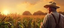 Farmer Inspecting Corn Field At Sunset With Empty Area