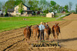Amische Landwirtschaft in Lancaster County, Pennsylvania