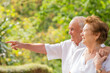 © carballo - happy senior couple embraced outdoors pointing