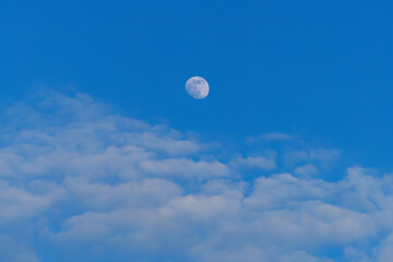Wall Mural - Luminous Moon during the day against the blue sky with cumulus clouds
