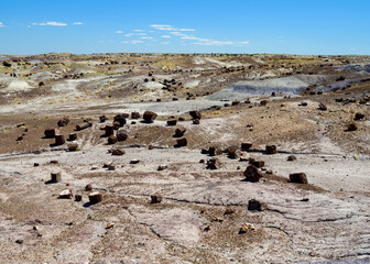 Wall Mural - Landscape photograph taken at Petrified Forest National Park in Arizona.