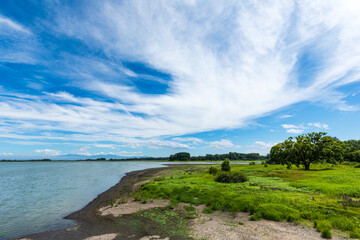 (青森県ｰ風景)夏空の鶴の舞橋周辺風景２