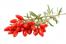 Goji Berries  Isolated On A Transparent Background, Close