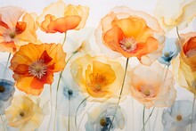 Yellow, Red And White Poppies Background, Watercolor Style