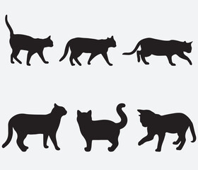 Wall Mural - isolated black silhouette of a cat, vector collection	