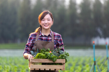 Wall Mural - Asian woman farmer is carrying wooden tray full of freshly pick organics vegetables in her garden for harvest season and healthy diet food