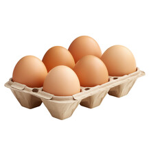 Eggs In Carton Isolated On Transparent Or White Background, Png