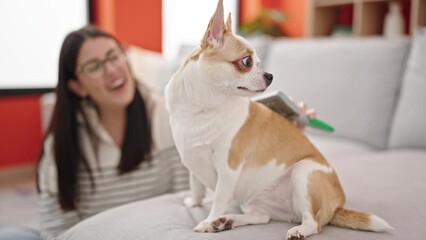 Canvas Print - Young hispanic woman with chihuahua dog sitting on the floor brushing dog hair at home