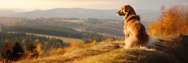 close-up photo of a cat and dog seen from the back, with wind blowing leaves on an autumn hil