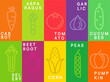 Bright vegetables cards in simple minimal style.Carrot,corn, tomato and asparagus,garlic,peas and selery, pumpkin, cucumber flyers,posters.Template design for local markets,eco farms,label.Vector
