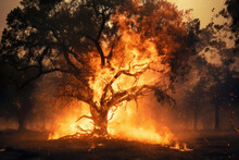 Forest Burning On The Mountainside, Natural Disaster, Climate Change, Global Warming, Top View