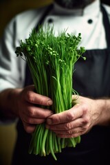 Sticker - shot of a man holding a bunch of fresh chives