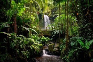 Wall Mural - Rainforest Waterfall