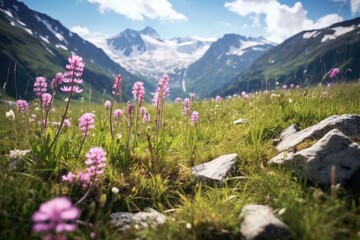 Poster - Alpine Meadow