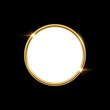 © backup16 - 3d circle plate button with golden frame vector illustration. Realistic isolated website element, golden glossy round label for game UI, badge of navigation menu with shiny light effect border