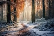 © mindscapephotos - Snowy Forest