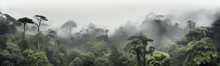 Panorama Of The Rainforest Tree Tops In The Fog.