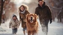 Happy Family Walking Their Pet Golden Retriever In The Winter Forest Outdoors. Active Christmas Holidays.