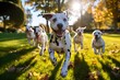 Cute funny dalmatian dogs group running and playing on green grass in park in autum | Generative AI