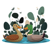  Wilderness Painting Wild Ducks Pond Sketch Cartoon Design