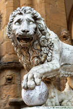 Lion statue on Piazza della Signoria at Palazzo Vecchio, Florence, Italy