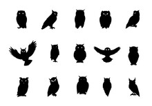 Set Of Owl Silhouettes On Isolated Background