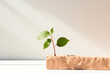 © Anna - Young green plant growing on a piece of stone on a white background. Motivation and challenging concept.
