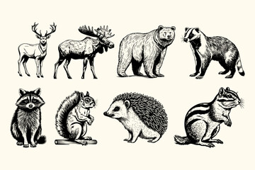 wild woodland animals vintage woodcut style drawing vector