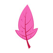 © Bro Vector - Pink autumn leaf vector illustration. Cartoon drawing of floral autumnal element, pink leaf. Autumn decoration, nature concept.