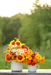 Poster - cups with bright flowers and butterflies in garden, natural abstract background. summer season. rustic composition with flowers. relax time. copy space. template for design