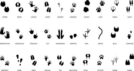 Canvas Print - Animals steps black silhouettes. Wild animal, birds and reptile footprints. Paw goat, cat, sheep prints. Footsteps decent vector collection