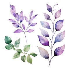 Wall Mural - transparent background with silver green purple and violet leaves and branches perfect for cards and invitations