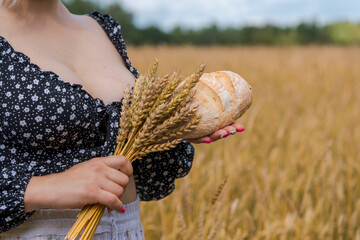 Close-up view of sexy plus size caucasian woman in black blouse with cleavage holding bouquet of ripe ears of wheat and loaf of bread on agricultural field in a sunny summer day. Copy space.