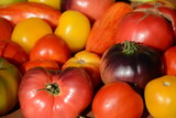 Fototapeta Kuchnia - Ripe tomatoes of different varieties close-up