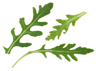 Wall Mural - Green leaf of arugula on a white isolated background, ingredient for salad