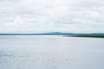 Wall Mural - natural landscape, vast shallow lake with reed banks on a rainy day