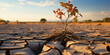 © dinastya - Tree on cracked ground. Creative concept of climate change impact, drought, and environmental crisis.