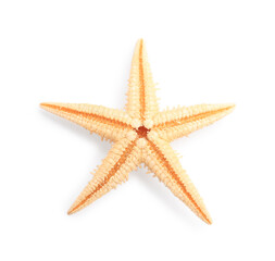 Wall Mural - Beautiful sea star (starfish) isolated on white, top view