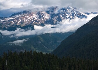 Wall Mural - View of Mt. Rainier, Washington obscured by clouds on an early summer morning at Gifford Pinchot National Forest.