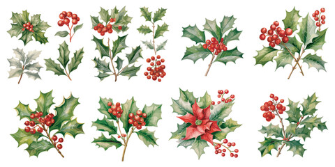 watercolor holly plant flower clipart for graphic resources