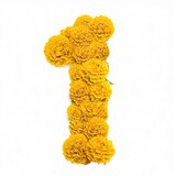 Fototapeta  - Number 1 from Yellow Marigold flowers isolated on white background