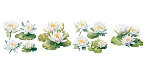 watercolor white lotus clipart for graphic resources