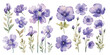 watercolor purple flower clipart for graphic resources