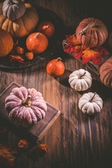 Sticker - Autumn or fall harvest concept with pumpkins and vintage books