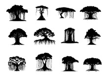 Set Of Banyan Tree Silhouettes On Isolated Background
