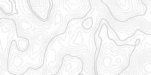 Abstract Topographic Contours Map Background. Topography White Wave Lines Vector Background. Topographic Map Patterns, Topographic Map And Place For Texture.  Wavy Curve Lines Banner Design.