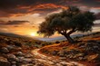 An olive tree with a rocky path at sunset AI Generated