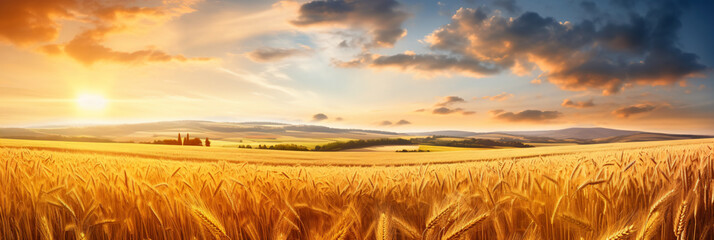 Wall Mural - Beautiful colorful natural summer landscape with field of ripe wheat in rays of sun breaking through clouds. - Generative Ai